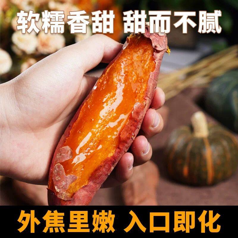 山东红薯新鲜烟薯25红心富硒地瓜农家沙地烤蜜薯糖心流油