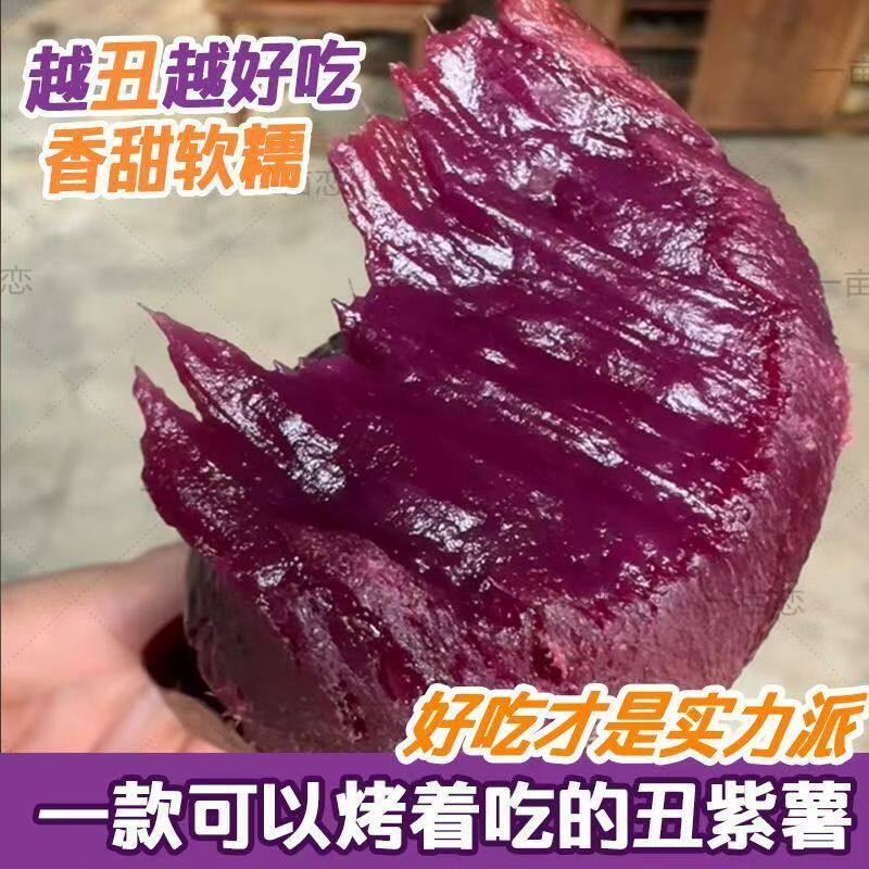 沙地紫罗兰紫薯农家现挖紫心番薯粉糯绵密自然清甜粗粮地瓜