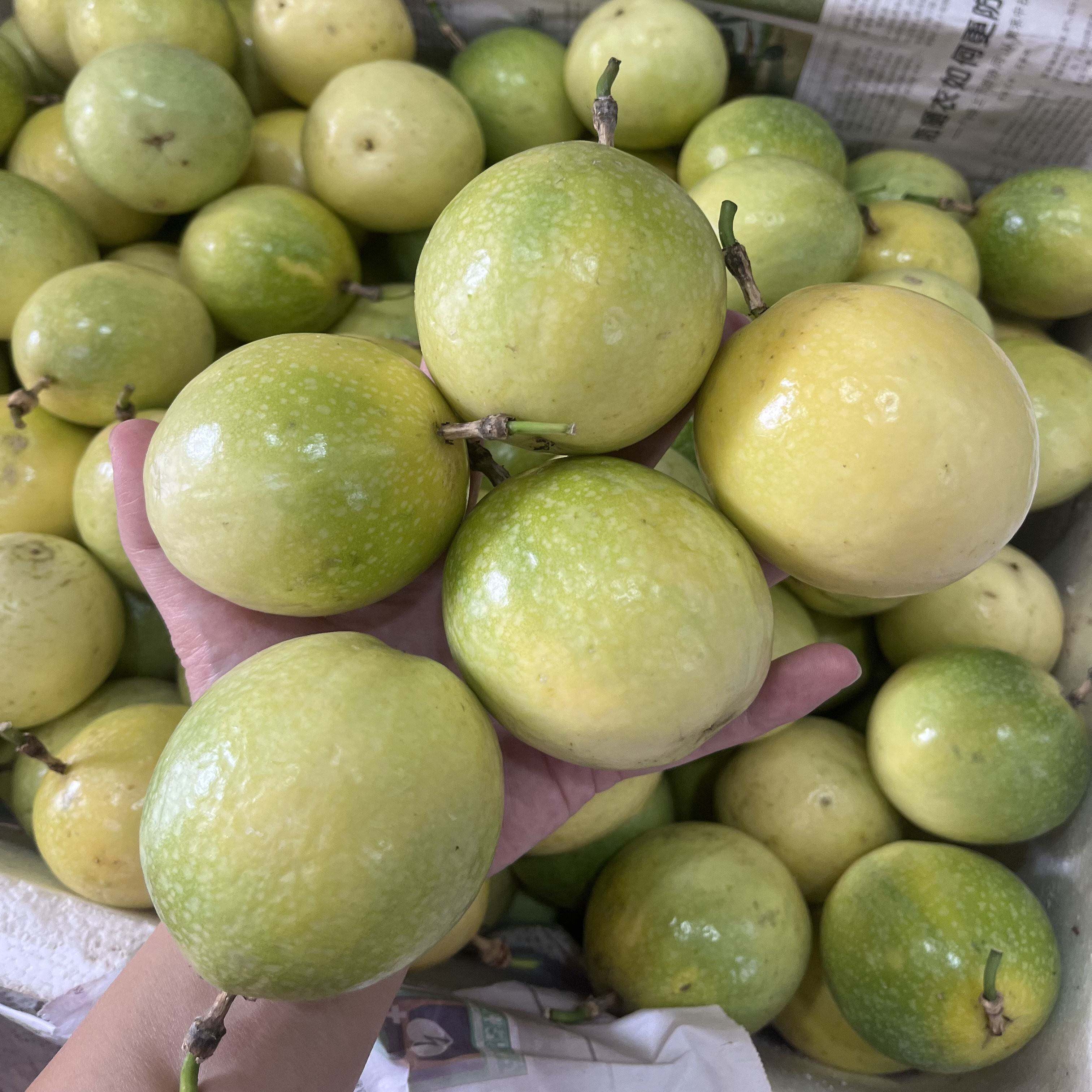 当季新鲜百香果果形圆润饱满香气浓郁泡水饮品四季常备鲜果