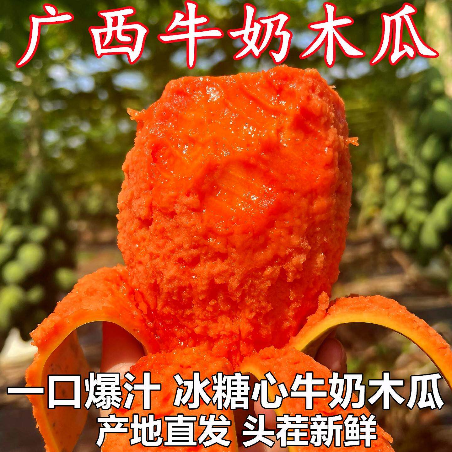 广西红心牛奶木瓜产地直发现摘鲜果冰糖心清甜软糯多汁新鲜水果