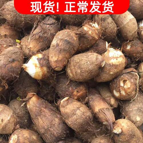 https://item.taobao.com/item.htm?id=574706043502