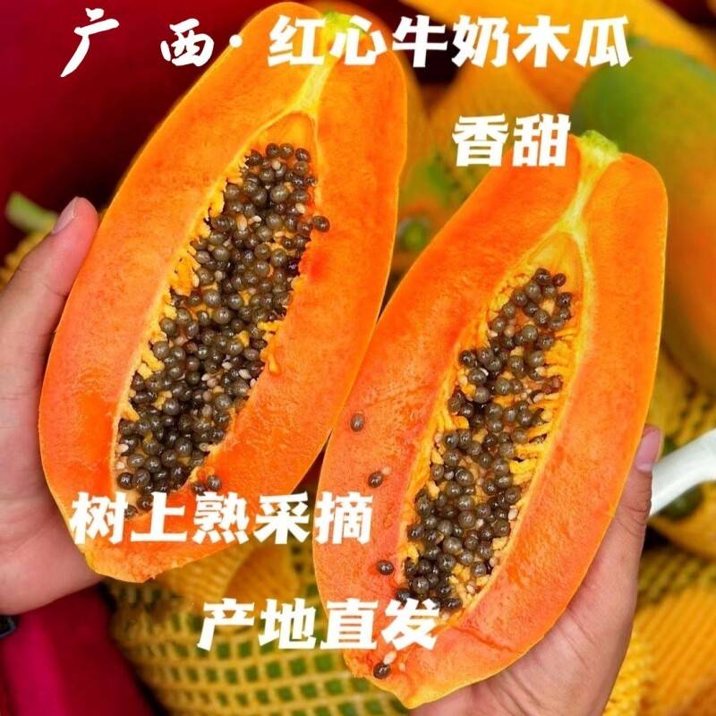 广西红心牛奶木瓜整箱新鲜水果果园直采青皮果变软后口感更佳