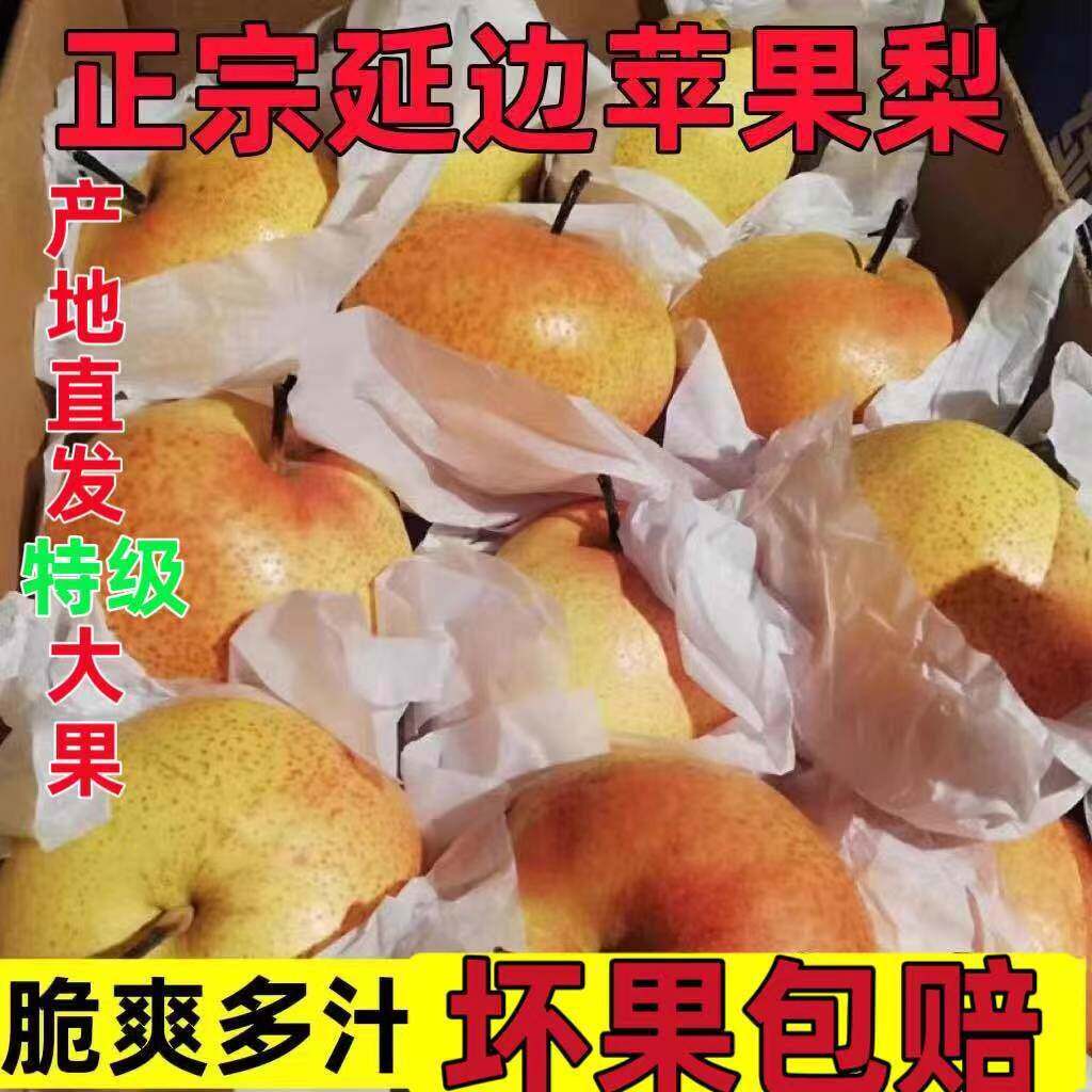 新鲜辽宁苹果梨产地直发酸甜适口果肉白净果心小家庭食用生鲜水果