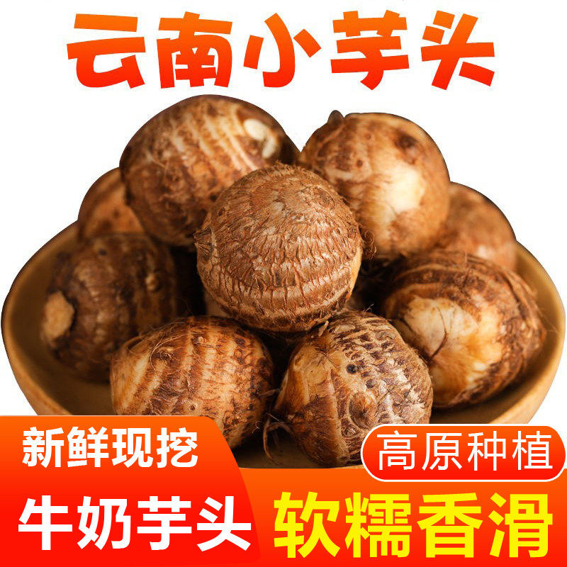 农家新鲜牛奶小芋头自然生长粉糯细腻芋泥制作原料