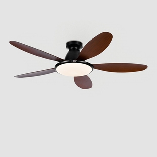 丰韵吸顶风扇灯2025新款客厅餐厅式大风力直叶电扇灯具吊扇灯一体