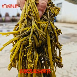 安徽芜湖特色农家油菜苔咸菜酸菜下饭菜