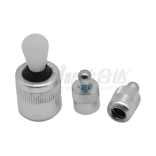 ZAV51 52 53 61 62 63-D3 5 6 8 10特别用途柱塞 侧向定位销轻载