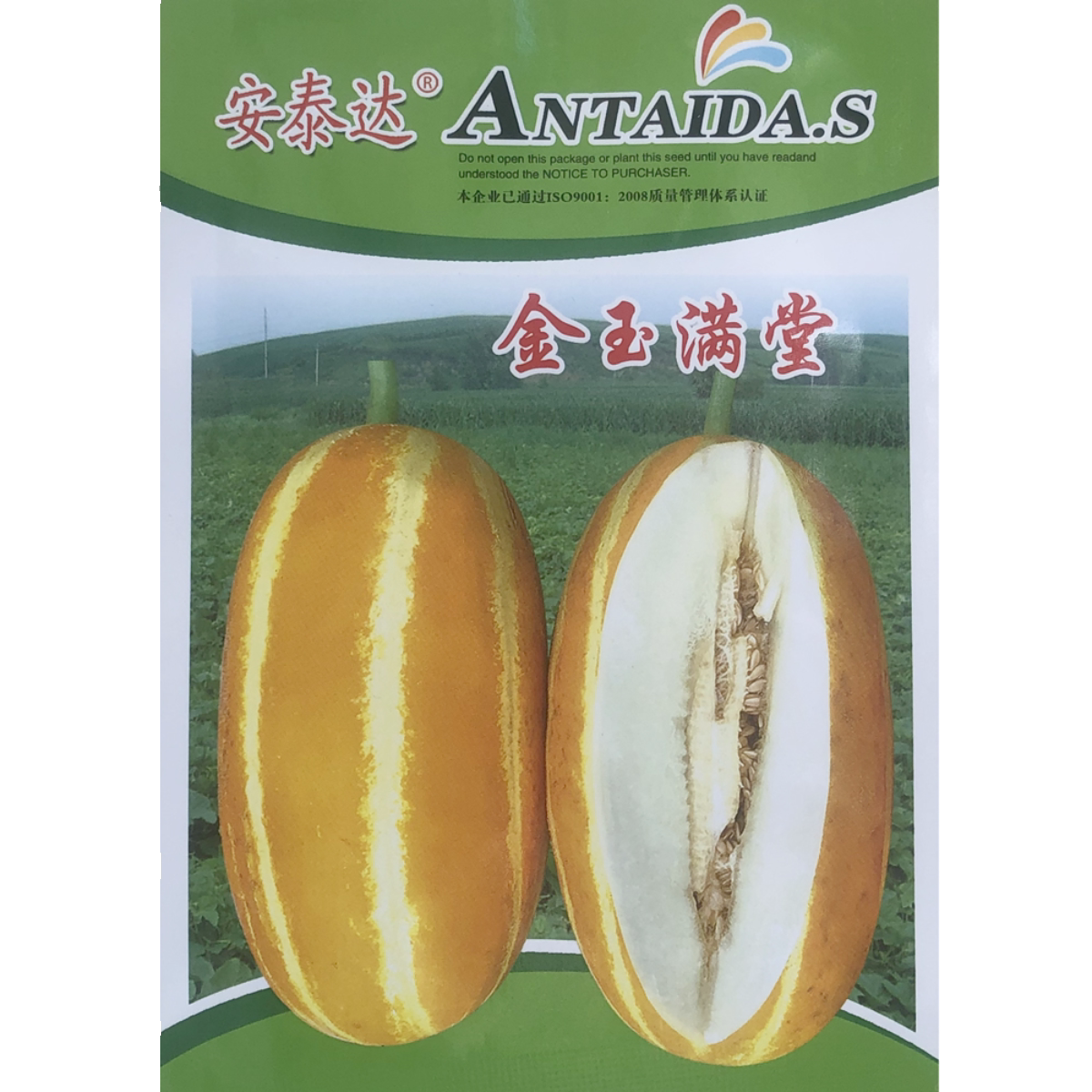 黄皮白肉甜瓜软糯香甜凌桥甜瓜九道沟高产抗病市场好春秋播香瓜种