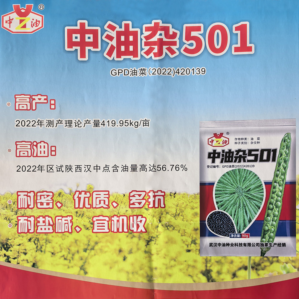 特高产高油油菜种子中油杂501蔬菜种子/种苗