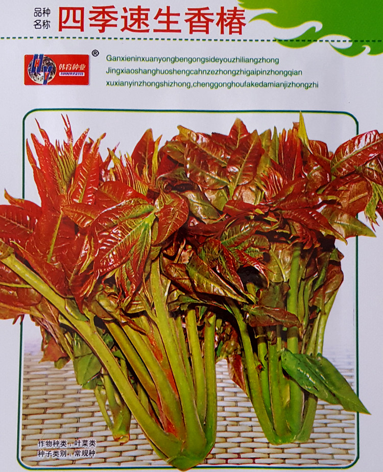 香椿种子四季速生香椿种子可口香料型蔬菜种籽四季播种简单易活|ruв категории сельскохозяйственных материалов, семена/саженцы, семян овощей - от Buy2taobao.com для оказания профессиональной услуги покупки агента Taobao