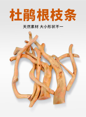 天然杜鹃根枝条草缸南美鱼缸造景装饰树枝沉木树桩晒台已煮小栖根