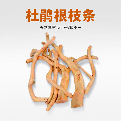 天然杜鹃根枝条草缸南美鱼缸造景装饰树枝沉木树桩晒台已煮小栖根