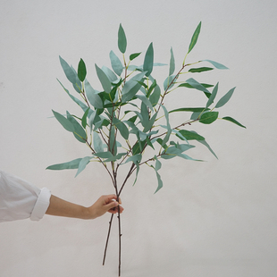 北欧风桉树叶仿真绿植叶子自然插花配叶花店软装造景摄影道具假花