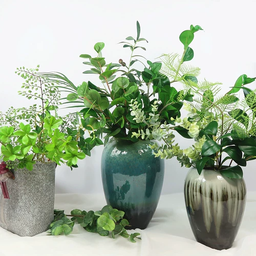 Сюмирование нордического стиля зеленый растение черепаха спинка доля декоративная трава Длинные зимние зеленые листья ugli листовые цветы с растениями травы