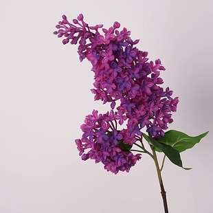 仿真花手感紫丁香假花家居装饰客厅餐桌摆设插花婚庆摄影拉力花
