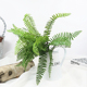 北欧蕨类植物高品质手感软胶排草波斯顿草插花花材婚庆植物墙配草