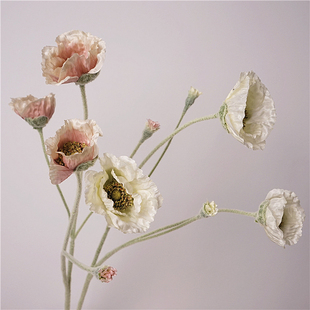 罂粟花仿真花虞美人装饰假花客厅样板间插花花瓶摆花餐桌装饰花艺