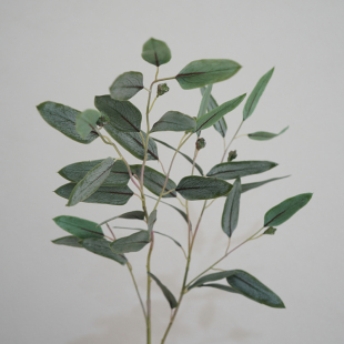 北欧风高质手感仿真植物软胶大枝尤加利桉树叶橄榄叶落地装饰花艺