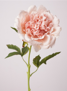 牡丹花餐桌装饰摆花仿真花