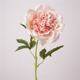 牡丹花芍药花家居餐桌装 高品质欧式 仿真花手感保湿 饰摆花摄影道具