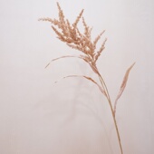 乡村田园仿真装 饰花艺花束绿植假花客厅摆设摆件干花配叶餐桌摆放