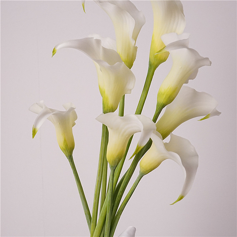 仿真花荷兰马蹄莲假花居家摆设花艺花插花餐桌花艺装饰品花材花艺,家居饰品,仿真花/假花,淘宝优惠券,粉丝福利购,淘宝优惠卷