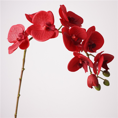 高品质手感10头洛桑蝴蝶兰假花居家摆设花艺装饰摄影道具花材插花