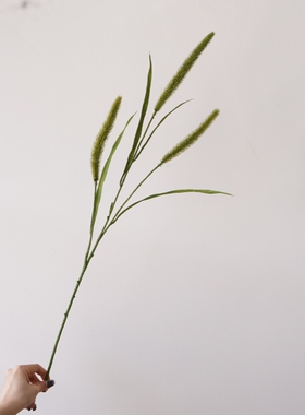 仿真狗尾草单支绿色植物装饰摆件家居客厅书房轻熟优雅风假花