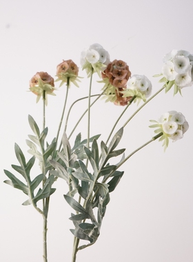 手工仿真植物4果风车果 花束仿真花DIY家居装饰拍摄道具装饰品