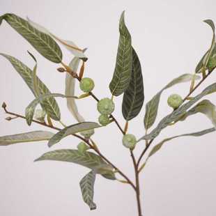 特价仿真绿植仿真桉树叶果实秋色复古植物背景装饰摆件居家餐桌叶