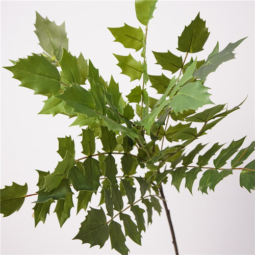 仿真花仿真绿植十大功劳绿色家居装饰摆件摄影道具花艺花材花插花