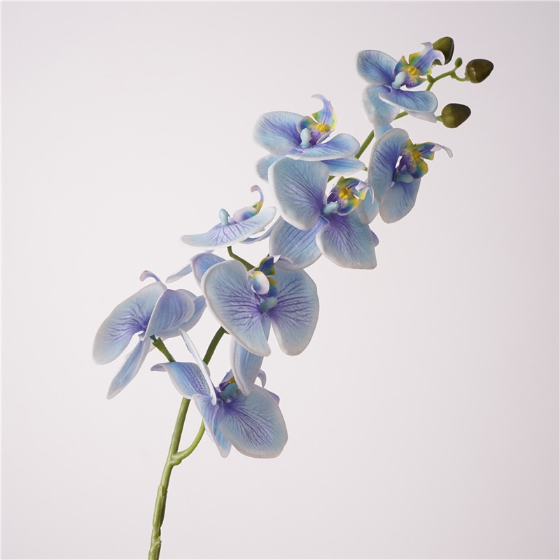 仿真花手感8头蝴蝶兰假花居家摆设轻奢高端插花餐桌花艺装饰摆件,家居饰品,仿真花/假花,淘宝优惠券,粉丝福利购,淘宝优惠卷