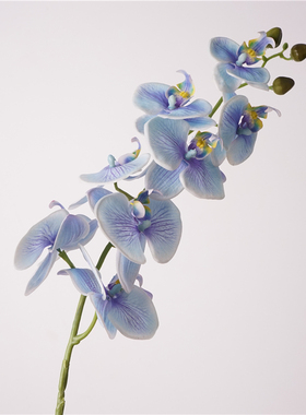 仿真花手感8头蝴蝶兰假花居家摆设轻奢高端插花餐桌花艺装饰摆件