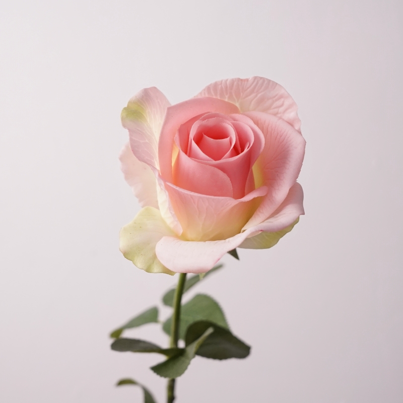 高仿真花手感保湿玫瑰戴安娜搭配