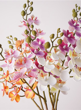 仿真花2杈迷你蝴蝶兰假花摆设兰花轻奢高端插花 餐桌花艺装饰摆件