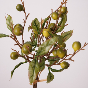 仿真 把束苹果 绿植盆栽氛围感高级家居摆件落地盆景拍摄道具花