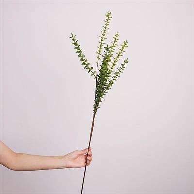 ins北欧风仿真尤加利金钱叶花