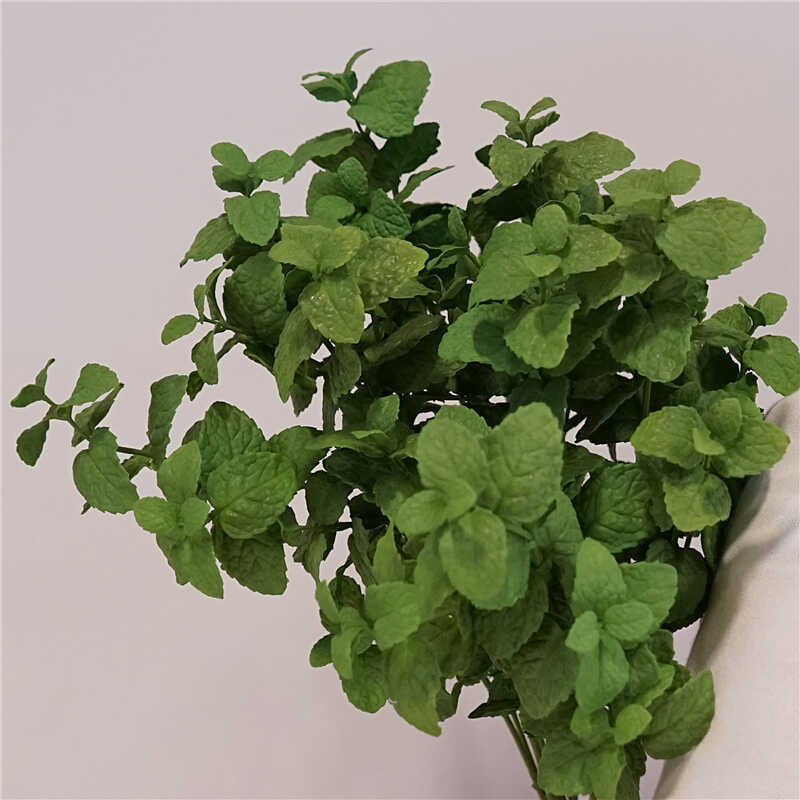 仿真植物柠檬薄荷叶庭院清新绿植办公室内装饰薄荷摄影道具假花艺