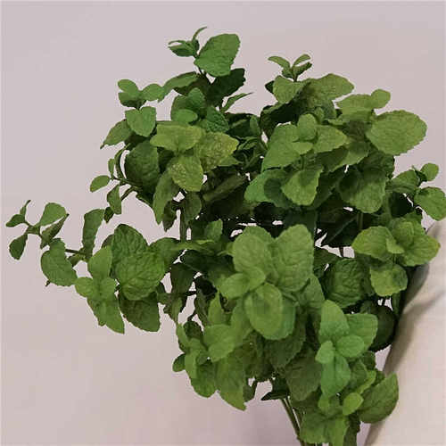 仿真植物柠檬薄荷叶庭院清新绿植办公室内装饰薄荷摄影道具假花艺