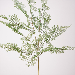 高品质仿真洋齿蕨叶 9叶文竹枝植物居家摆设花艺装饰品摄影道具花