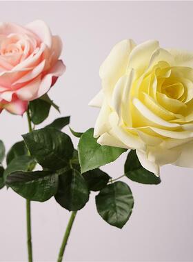 高品质手感单枝玫瑰海洋之歌家居装饰插花配材拍摄摆件拍摄摄影花