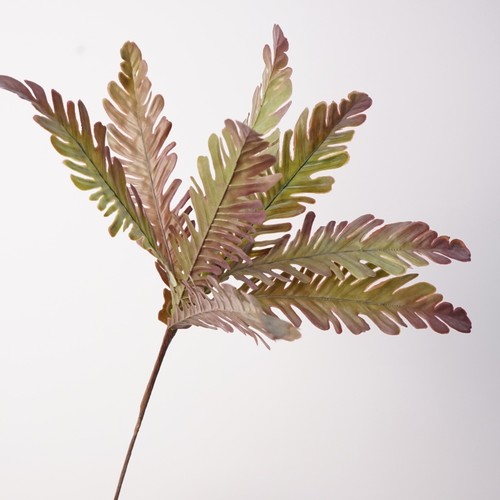 仿真新款单枝凤尾蕨仿真绿植把束软胶摄影道具造景植物装饰品摆件