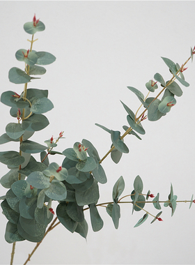 仿真绿植单支尤加利叶北欧现代客厅装饰假花室内软装植物绿叶摆设