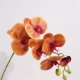 Оранжевый, орхидея, 75см