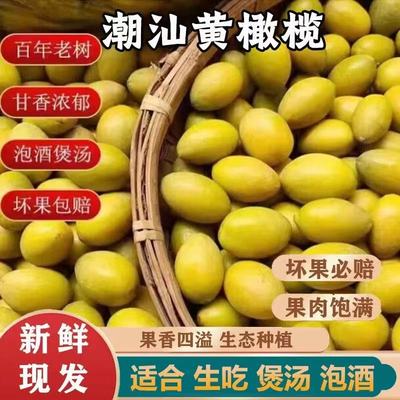 潮汕新鲜本地黄橄榄甘香煲汤炖汤
