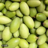 潮汕特产现摘新鲜檀香香种橄榄生吃甘香浓郁泡酒孕妇煲汤腌制榨汁