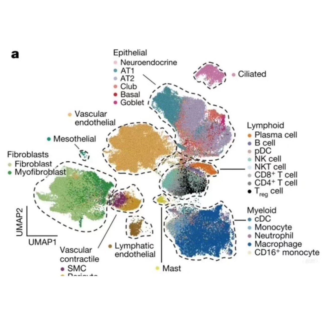 网络药理学专业代做 cytoscape作图 GO/KEGG富集 PPI网络