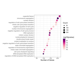 KEGG通路GSEA基因功能富集分析R语言作图数据可视化生信分析