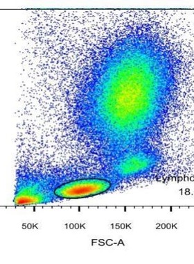 Flowjo多色流式数据分析 补偿调节 图形优化