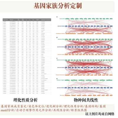 生信分析服务GEO TCGA数据挖掘生存预后分析单细胞转录组测序指导